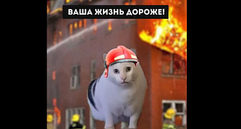 «Спасайтесь, а потом мяукайте!» Интернет буквально взорвало весёлое видео с котиками-спасателями от МЧС Белоруссии