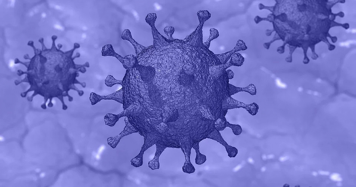 На Кубани 12 июля обнаружили 219 случаев COVID-19