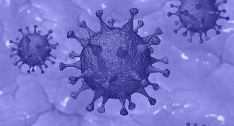 На Кубани 12 июля обнаружили 219 случаев COVID-19