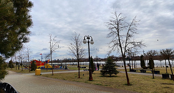 «Лишь солнце в легких облаках»: в Краснодарском крае 12 февраля будет без осадков, днём потеплеет до 22°