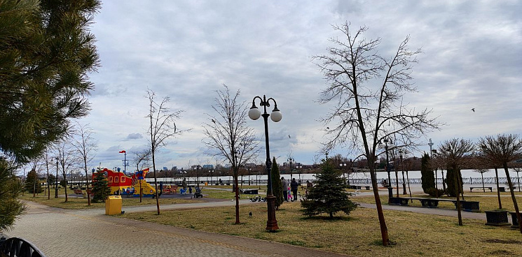 «Лишь солнце в легких облаках»: в Краснодарском крае 12 февраля будет без осадков, днём потеплеет до 22°