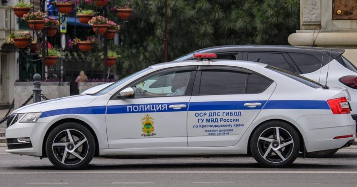 В Сочи прохожие и полицейские спасли запертую в автомобиле собаку
