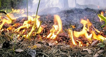 Под Геленджиком загорелся лес