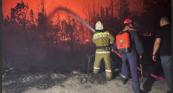 «Добровольцы отважно борются со 118 гектарами огня и спасают животных!» Что известно о пожаре в Геленджике на данную минуту – ВИДЕО