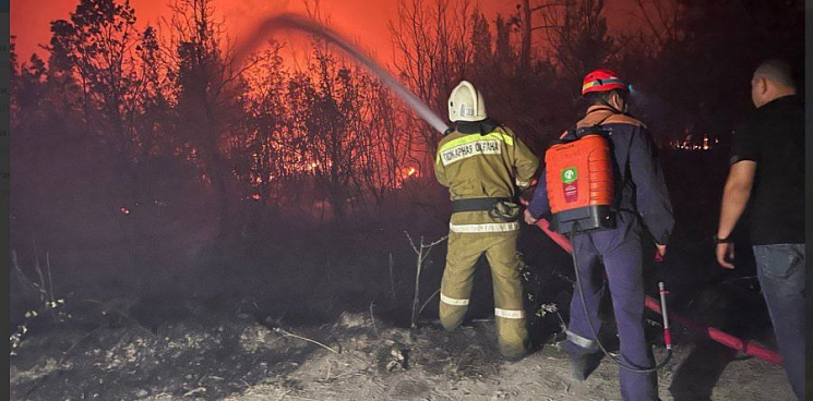 «Добровольцы отважно борются со 118 гектарами огня и спасают животных!» Что известно о пожаре в Геленджике на данную минуту – ВИДЕО