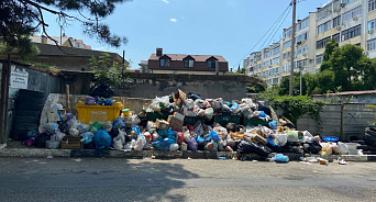 «Платим миллиарды, чтобы полюбоваться на переполненные помойки!» Стало известно, жителям каких районов Кубани вывоз мусора обходится дороже всего