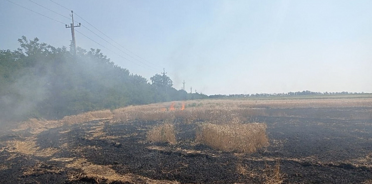 В Запорожской области ВСУ обстреливают поля, чтобы сжечь посевы 