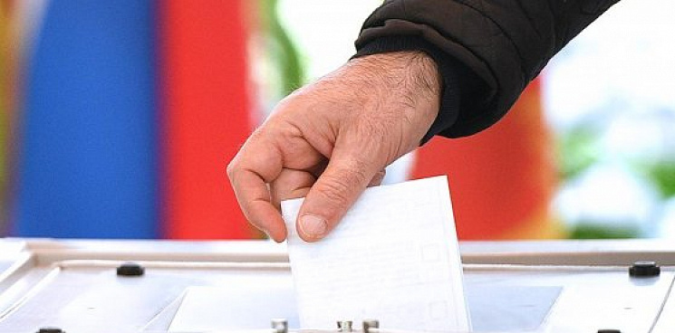 В Тихорецком районе Кубани опять проводят голосование «на пеньках»?