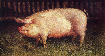 «После вспышки африканской чумы свинина подорожает»: на Кубани уменьшается поголовье свиней, что может спровоцировать рост цен на мясо
