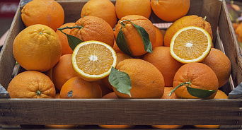 В порту Новороссийска выявили 11 партий заражённых апельсинов
