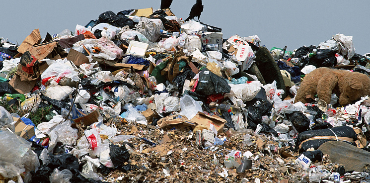 «Черных мусорщиков не остановить» — в Краснодаре растут опасные свалки 