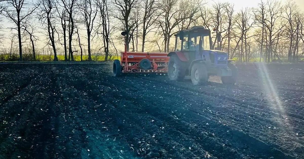 Весенние полевые работы стартовали в Краснодаре