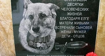 В Приморско-Ахтарске установлен памятник собаке, спасшей жизни милиционеров 