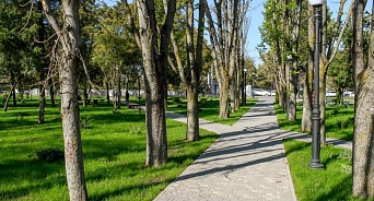 В Краснодаре определили три зеленые зоны для благоустройства в 2022 году  