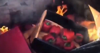 Лучше бы детям раздали? В Краснодаре сожгли красный перец из Польши - ВИДЕО