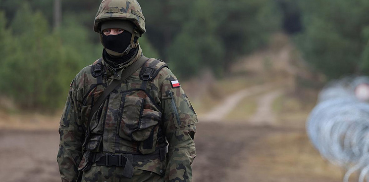Поляки не скрывают своего участия в терактах РДК* на территории РФ