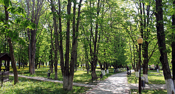 На Кубани с начала 2022 года создали 4 лесопарковых пояса вокруг городов