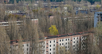 «Было бы желание»: биолог уверена, что в Чернобыле жить менее опасно, чем есть бананы