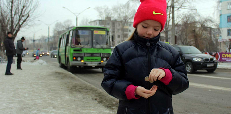 В Краснодаре уволили водителя маршрутки, высадившего в мороз школьницу без денег