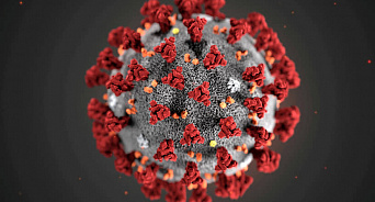 Учёные США, изучавшие коронавирус, работали над его усилением в лабораториях КНР и Украины?