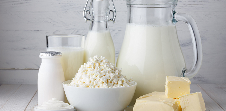 Производители молока на Кубани не будут снижать объемы производства