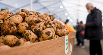 «Угроза голода нам не страшна!» Через порт Новороссийска ввезли более 418 тысяч тонн импортных фруктов и овощей