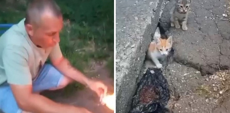 В Краснодаре мужчина пытался выгнать котят из щели с помощью огня 