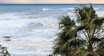 Погода на Кубани 31 января: ветер и временами осадки