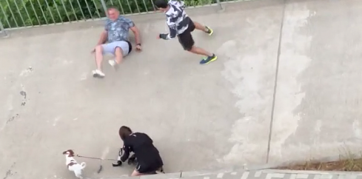 В Сочи мужчина ударил девушку за просьбу убрать за псами – его ищет полиция