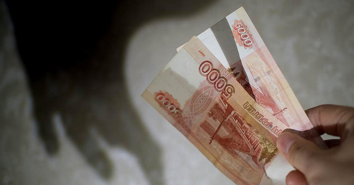 Житель Новороссийска незаконно получил более 330 тыс. рублей на развитие бизнеса