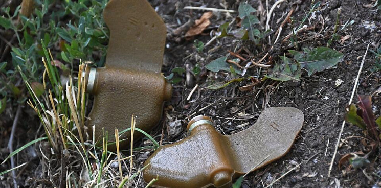 «Human Rights Watch - прозрели!» Солдаты ВСУ раскидывали запрещённые мины-лепестки в городах, из-за чего страдали мирные