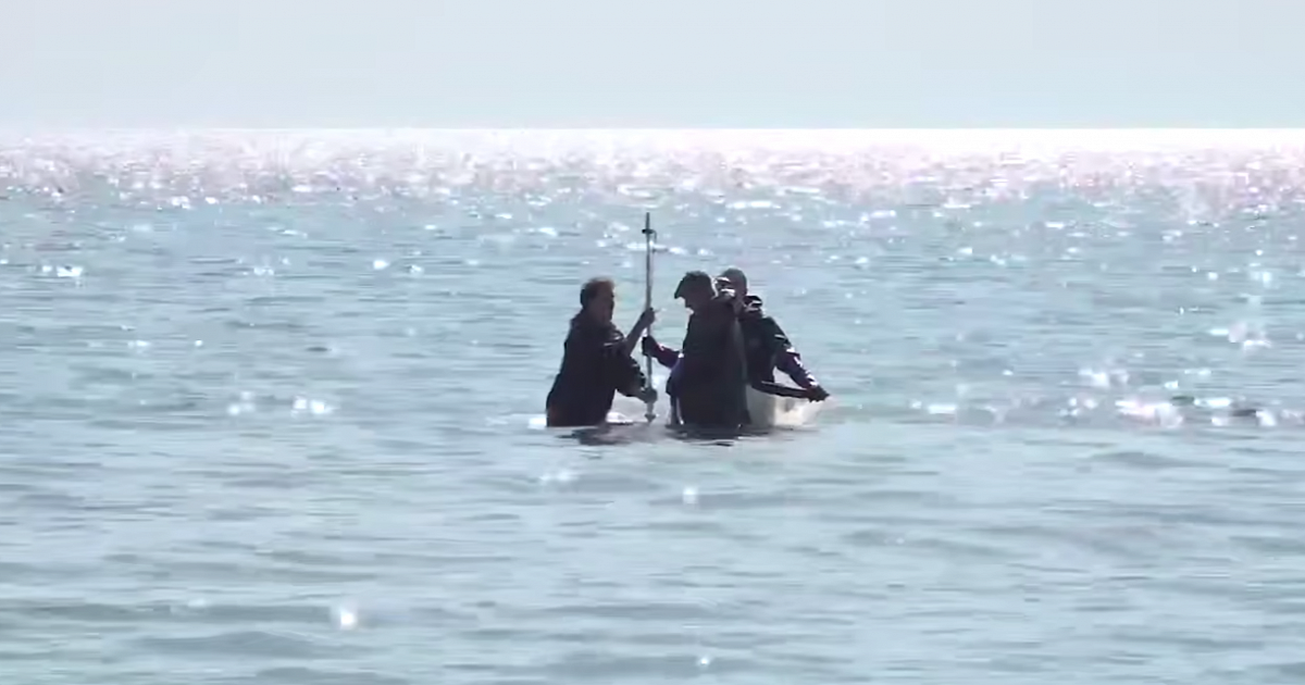 Ученые оценят восстановление морского дна после разлива мазута в Анапе