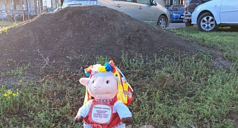 «Овца поёт украинскую песню»: в Краснодаре на улицах разбросаны игрушки с призывом нажать кнопку – вызвали полицию 