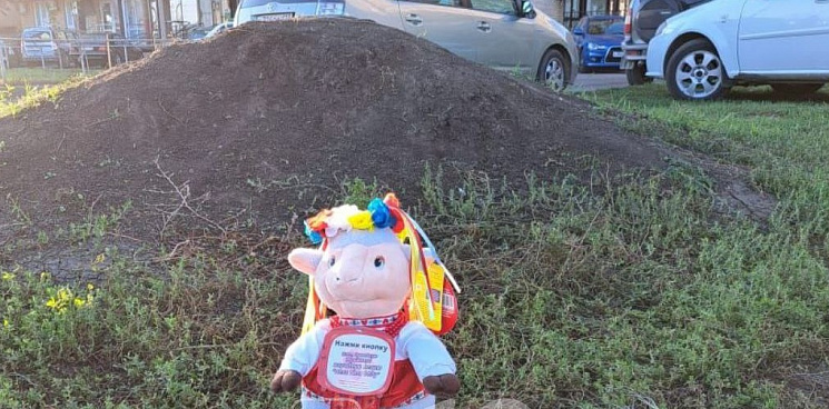 «Овца поёт украинскую песню»: в Краснодаре на улицах разбросаны игрушки с призывом нажать кнопку – вызвали полицию 