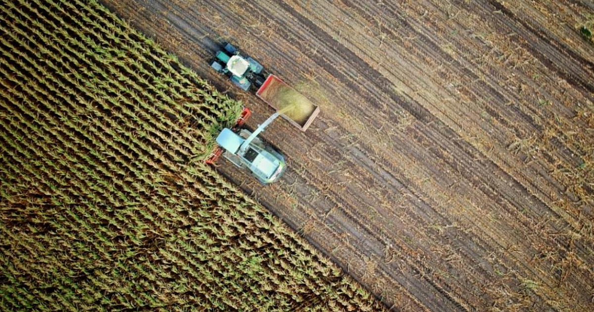 Аграрии Кубани получили от РСХБ более 1,7 млрд рублей страховых выплат